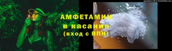 твердый Вяземский